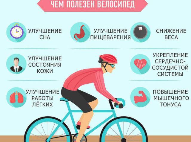 Реальная польза и вред от езды на велосипеде для мужчин, женщин и детей