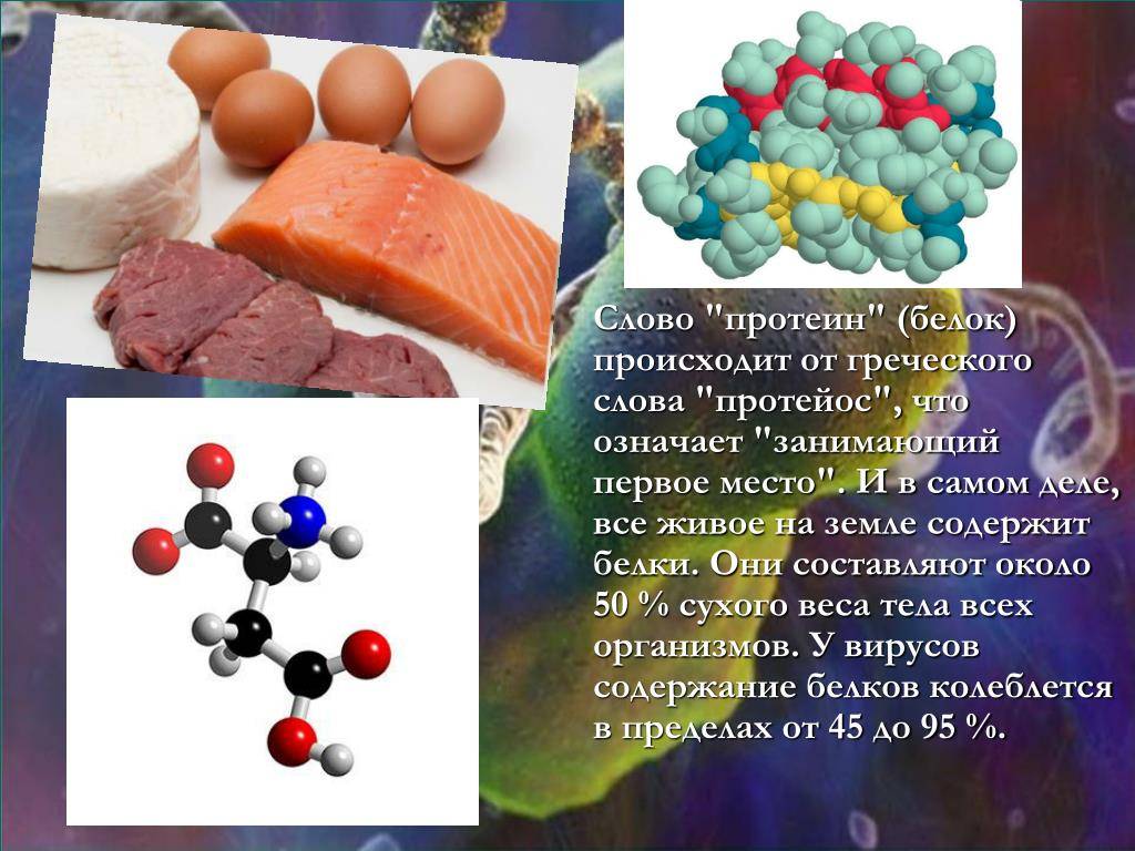 Какие существуют виды протеина и зачем нужен каждый из них?