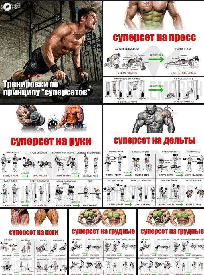 Суперсеты: что такое, упражнения для всего тела - жиросжигающие тренировки на грудные мышцы, бицепс, плечи, пресс, ягодицы и ноги, буйда