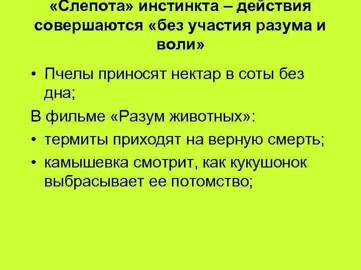 Материнский инстинкт у животных: как заботятся о детях братья наши меньшие