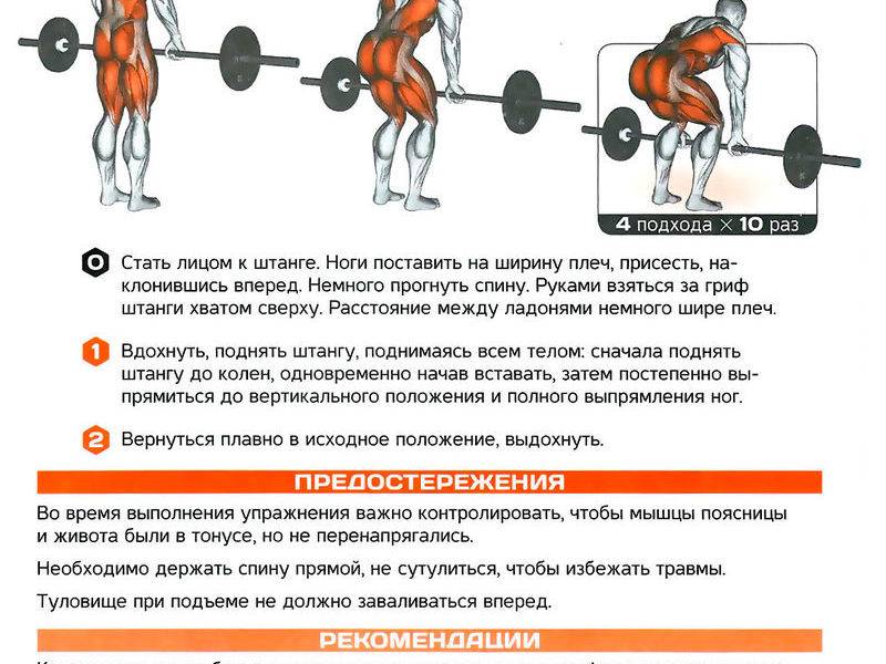 Становая тяга с гантелями для девушек — техника выполнения, работающие мышцы и 3 вида движения - леди стиль жизни
