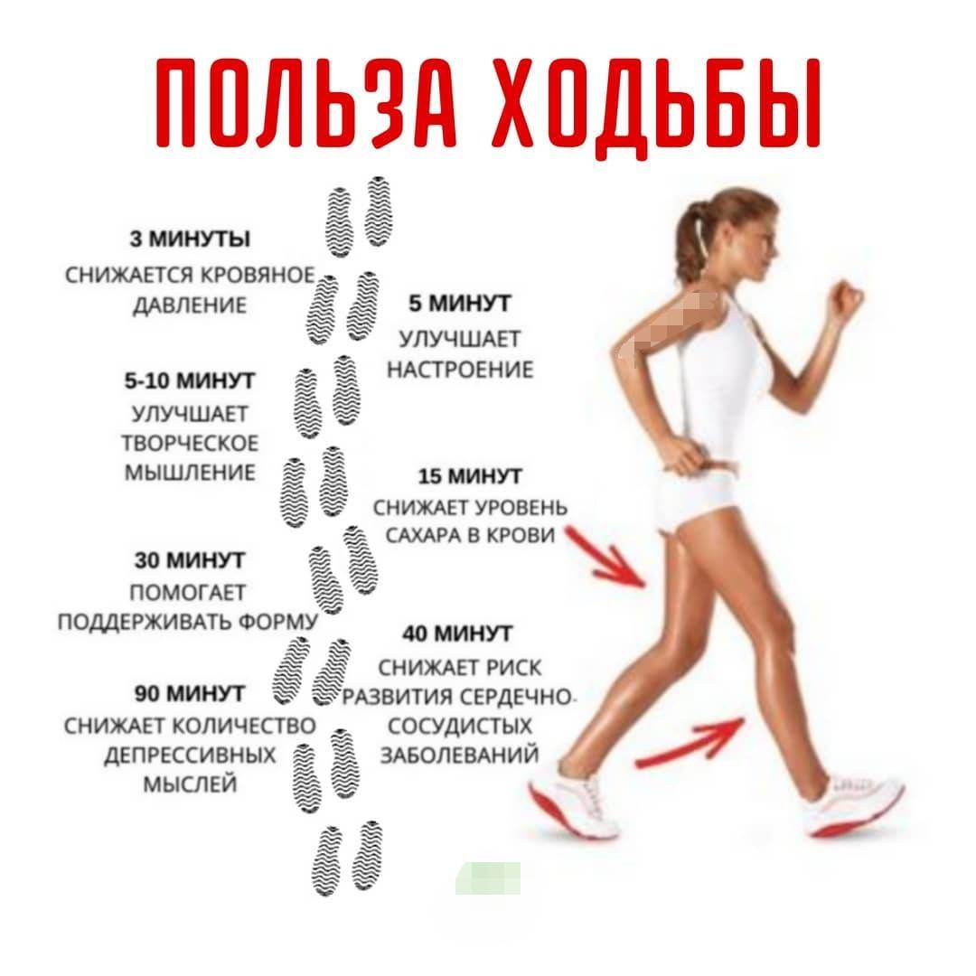 Что произойдет с вашим телом, если ходить 1 час в день? :: polismed.com