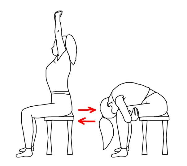 Как правильно делать наклоны вперед сидя - основы растяжки мышц