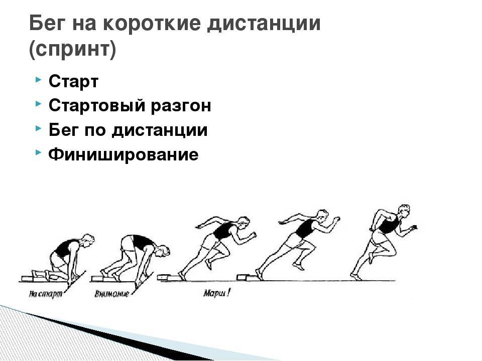 Бег на средние дистанции: что нужно знать?