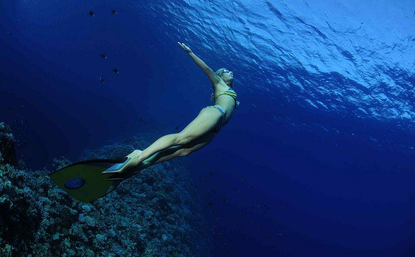Фридайвинг — что это такое? подводное плавание с задержкой дыхания.