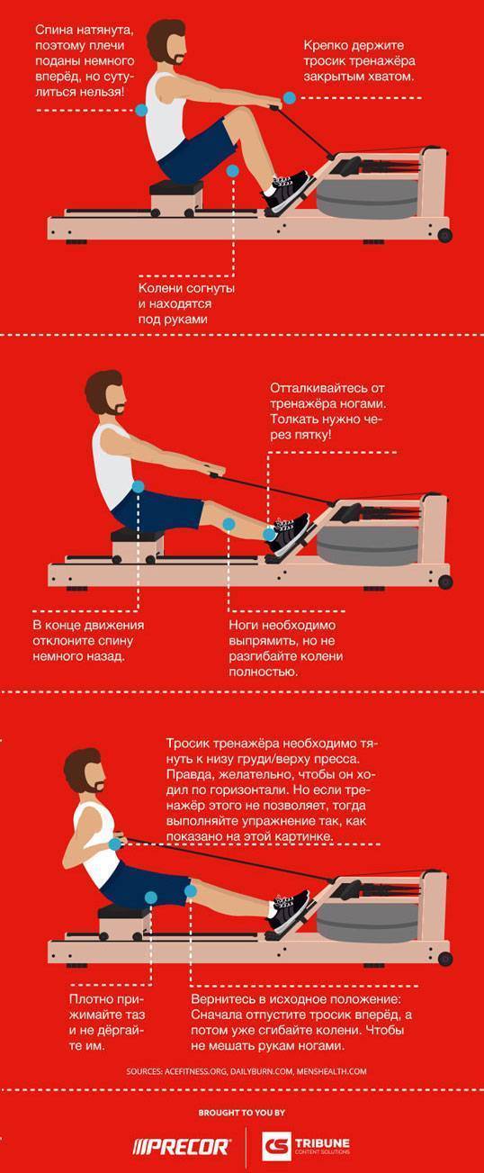 Занятия на гребном тренажёре: какие мышцы работают и рекомендации к упражнениям "гребля" | rulebody.ru — правила тела