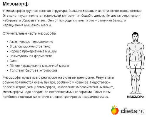 Программа тренировок по типу телосложения: для эктоморфа, эндоморфа и мезоморфа