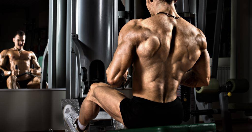Как увеличить объем мышц? тренировки для увеличения силы мускулатуры