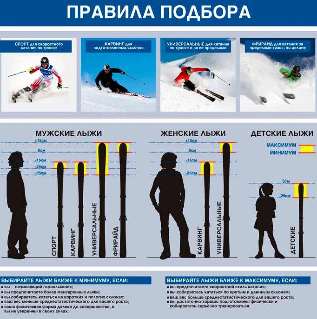 Упражнения для лыжников. виды и эффективность