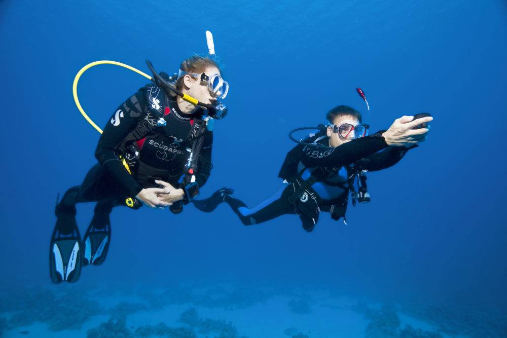 Уроки подводного плавания для начинающих: бесплатные видео для самостоятельного обучения - все курсы онлайн