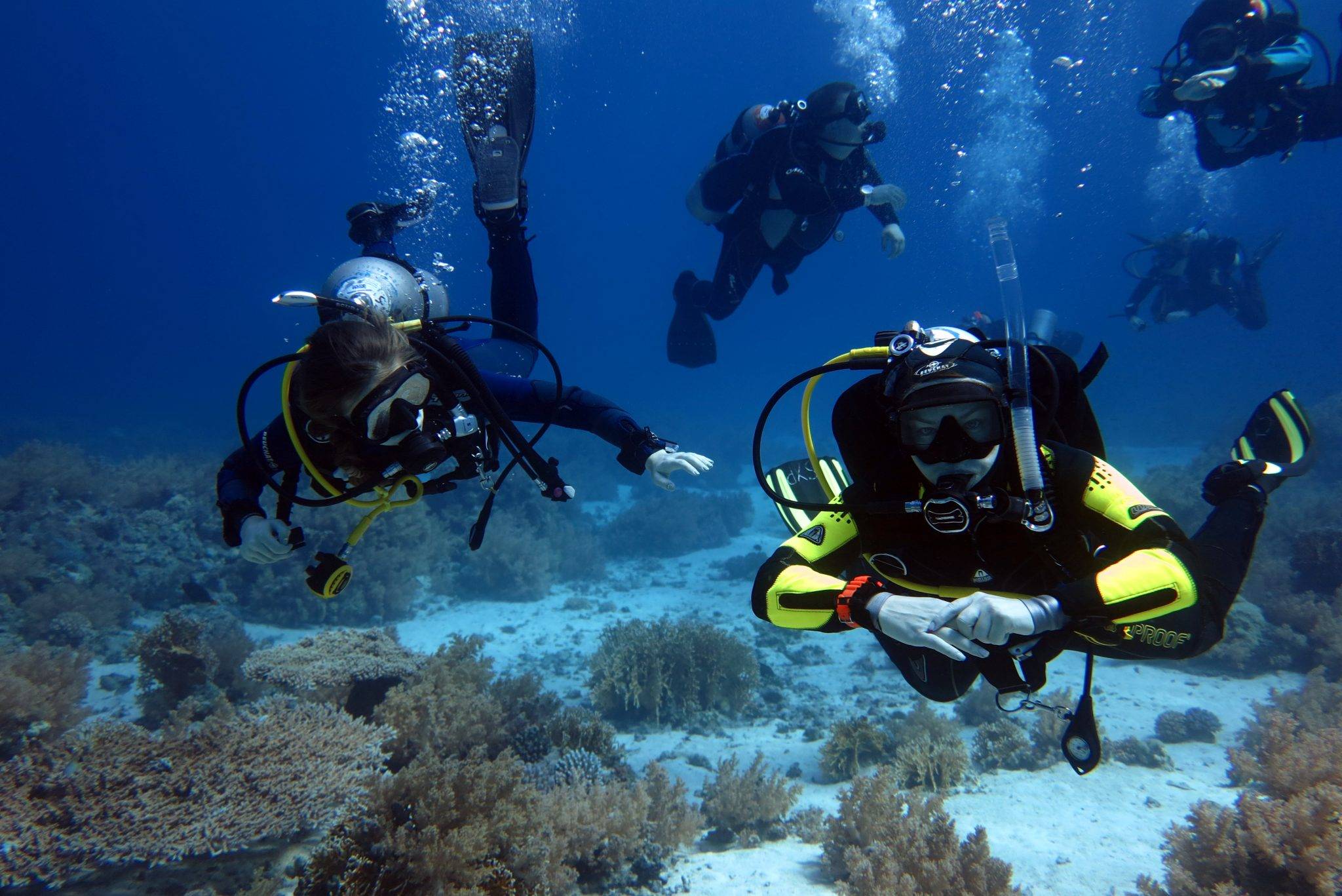 Курс padi rescue diver (дайвер спасатель) | обучение дайвингу - scuba academy