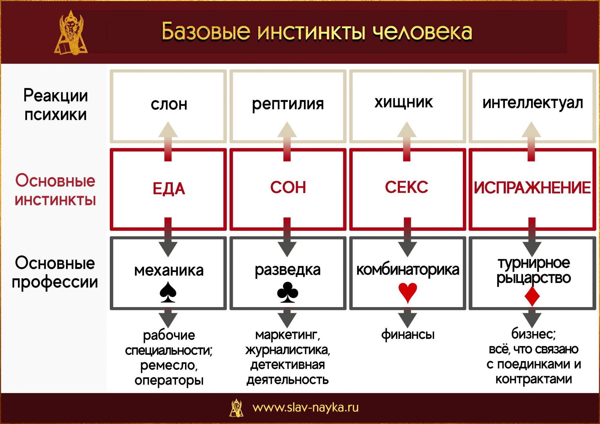 Животные инстинкты vs разум: что эффективнее? вся правда!