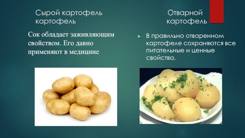 Картофель бжу и кбжу на 100 грамм: вареного, пюре, жареного, сырого, запеченного, молодого