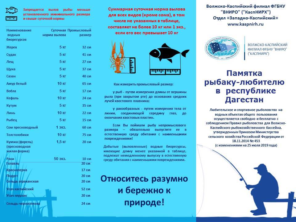 Закон о промысле. Памятка для рыболовов любителей. Разрешённый размер вылавливаемой рыбы. Памятка рыболовства. Норма вылова рыбы.