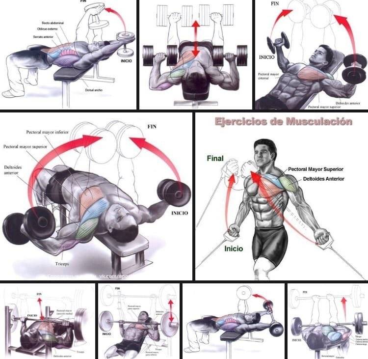 Как накачать верх груди: эффективный комплекс упражнений, советы и рекомендации тренеров