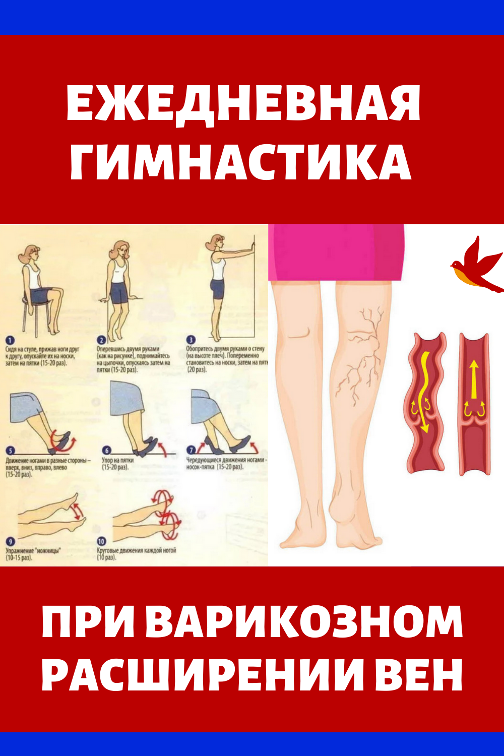 Профилактика варикозного расширения нижних конечностей. Упражнения притварикозе. Упражнения при варикозе. Упражнения для ног при варикозе. Гимнастика при варикозном расширении вен.