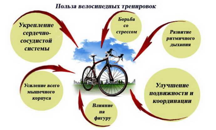 Езда на велосипеде — польза и вред