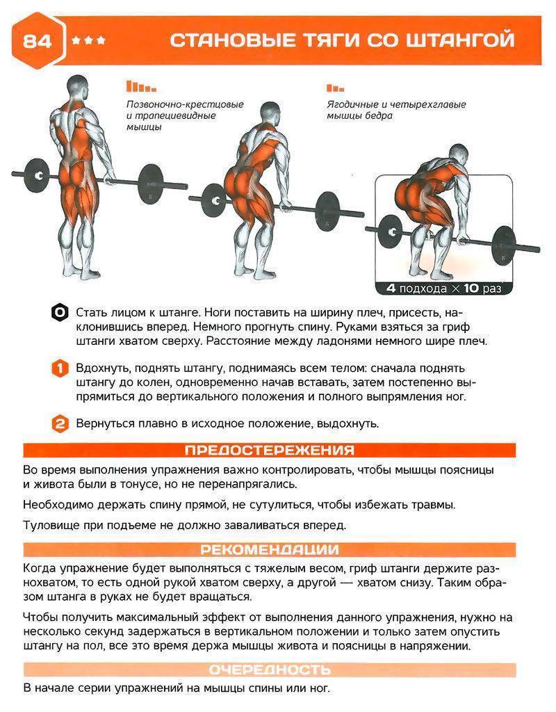 Трастер: основные упражнения и техника исполнения. примечания и советы для атлетов