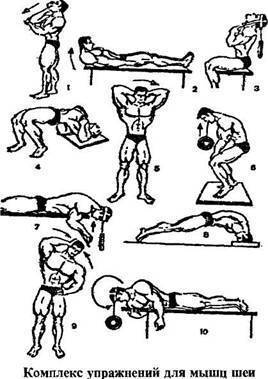 Тренировка мышц шеи с видео: упражнения, рекомендации как накачать и противопоказания