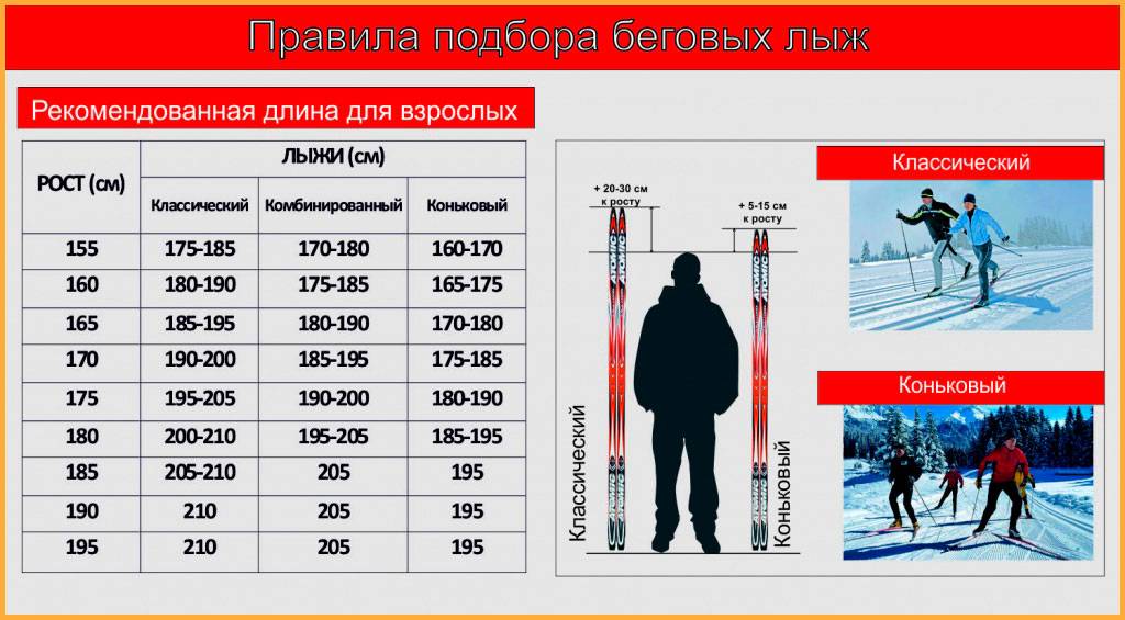 Лучшие беговые лыжи