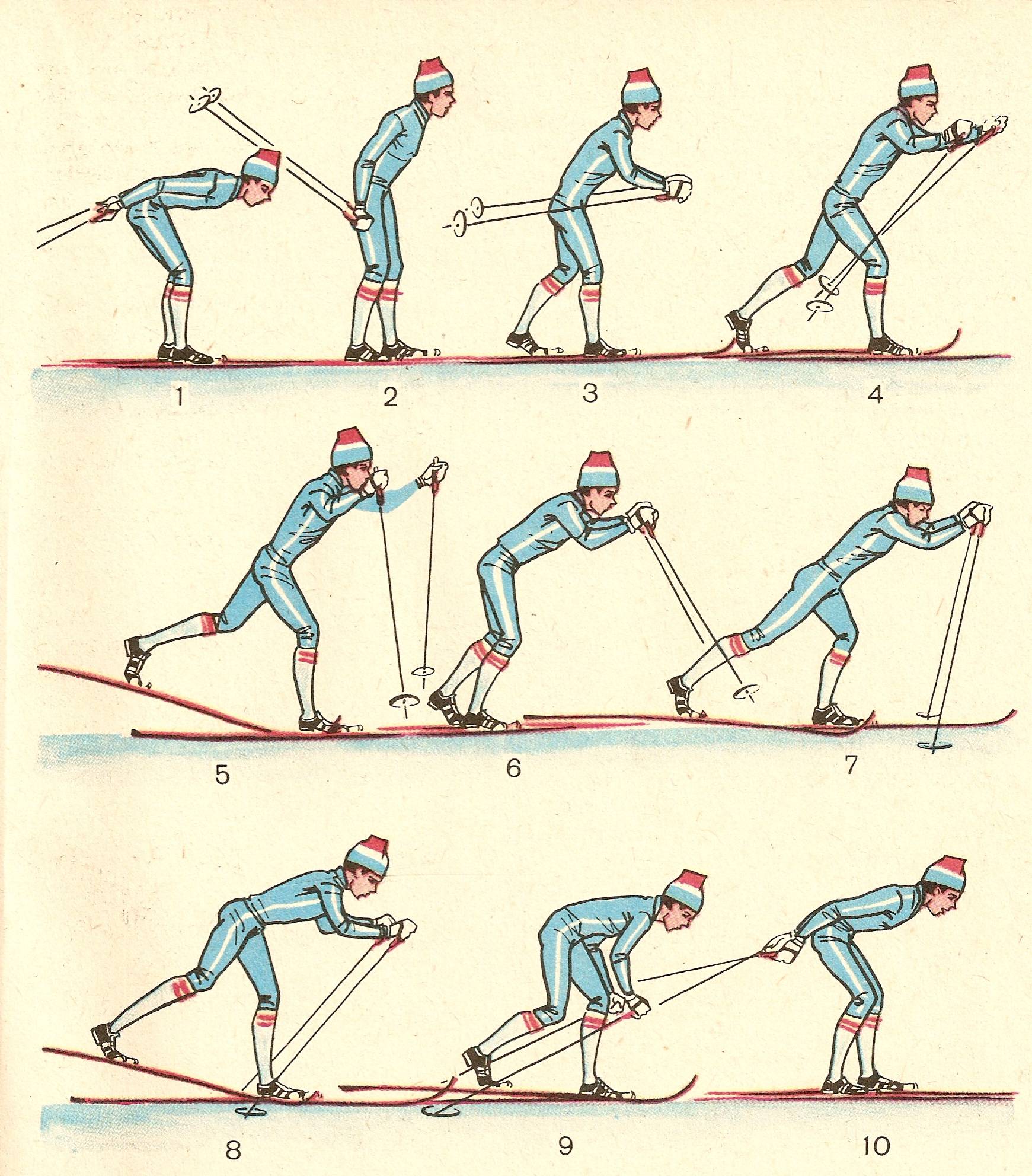 Учимся кататься на беговых лыжах: уроки и советы для начинающих - все курсы онлайн