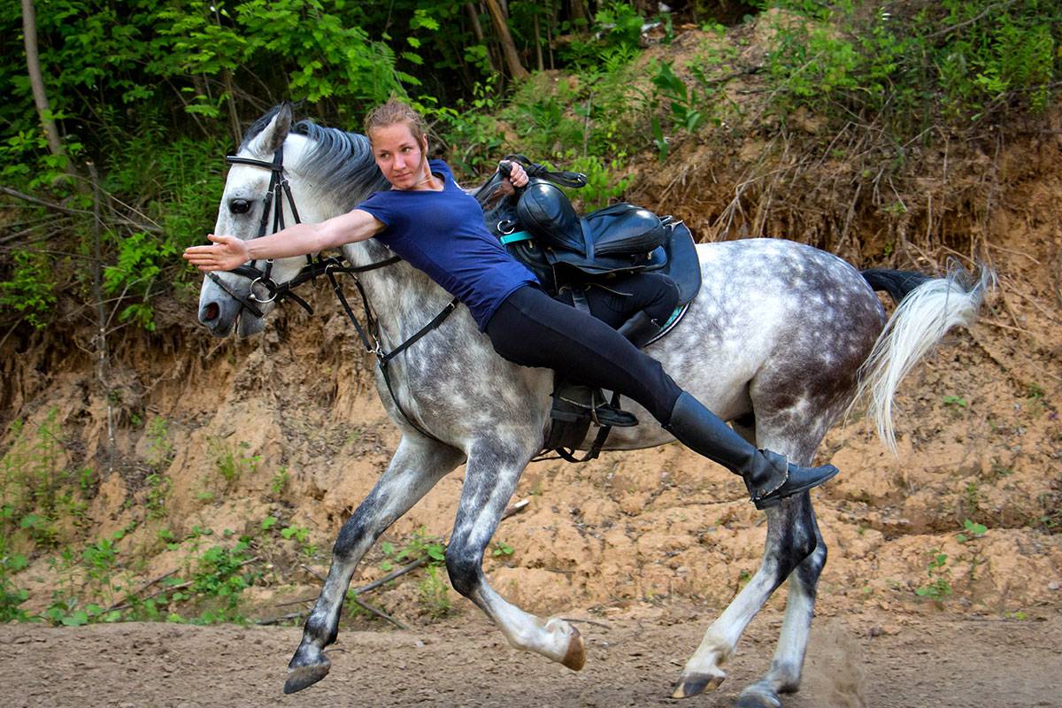 Конный спорт