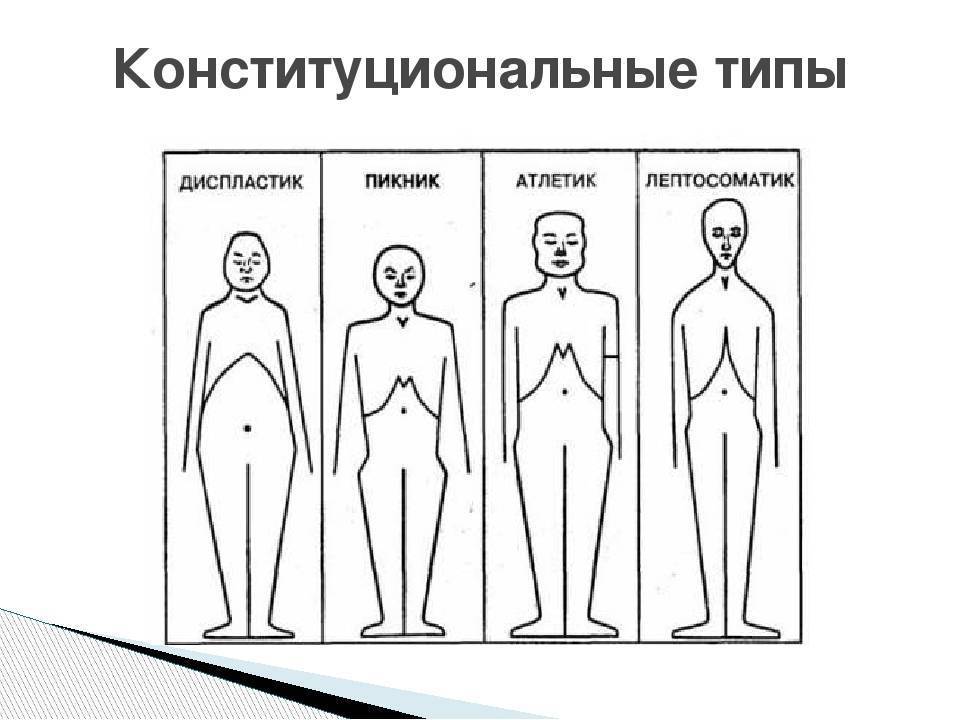Типы телосложения мужчин и женщин: особенности генетики